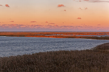 Poster - Abendstimmung am Darßer Ort an der Ostsee in der Kernzone des Nationalpark Vorpommersche Boddenlandschaft am Darßer Weststrand, Mecklenburg Vorpommern, Deutschland