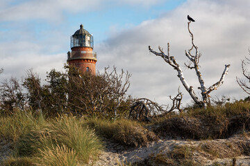 Poster - Leuchtturm Darßer Ort am Darßer Weststrand, Nationalpark Vorpommersche Boddenlandschaft, Mecklenburg Vorpommern, Deutschland