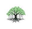 banyan tree logo vector