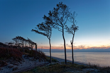 Wall Mural - Lichtstimmung am Abend am Darßer Weststrand, Nationalpark Vorpommersche Boddenlandschaft, Mecklenburg Vorpommern, Deutschland