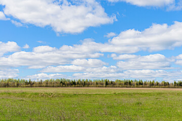 Spring landscape with field, forest and clouds in the sky