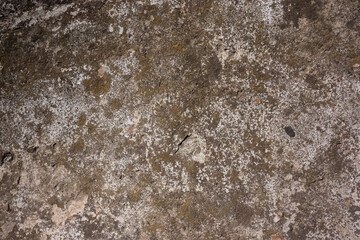 Sticker - remains of white paint on the surface of the old wall plaster.