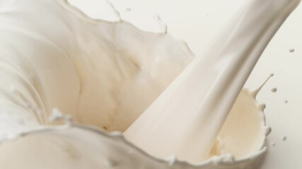 Fototapete - Super slow motion of milk splash isolated on white background. Filmed on high speed cinema camera, 1000 fps.