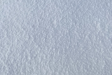 Poster - Winter season snow white blue texture concept background