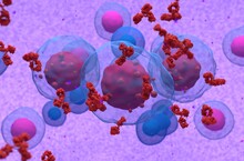 Abnormal Plasma Cell Or B-cell In Multiple Myeloma Emitting Paraprotein 3d Illustration