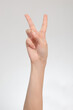 © Roman - Peace hand gesture isolated on white background.