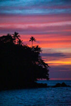 Sunset Over The Sea With Palmtree