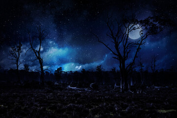 Wall Mural - spooky night image . mixed media
