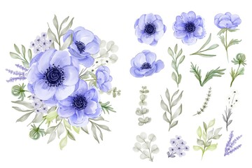 Wall Mural - isolated elegant purple anemone flower leaves collection