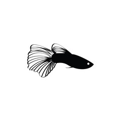 Guppy Fish icon isolated on white background, guppy icon, guppy logo, Guppy Fish vector