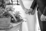 Fototapeta Konie - enlace, boda, juntos, casarse