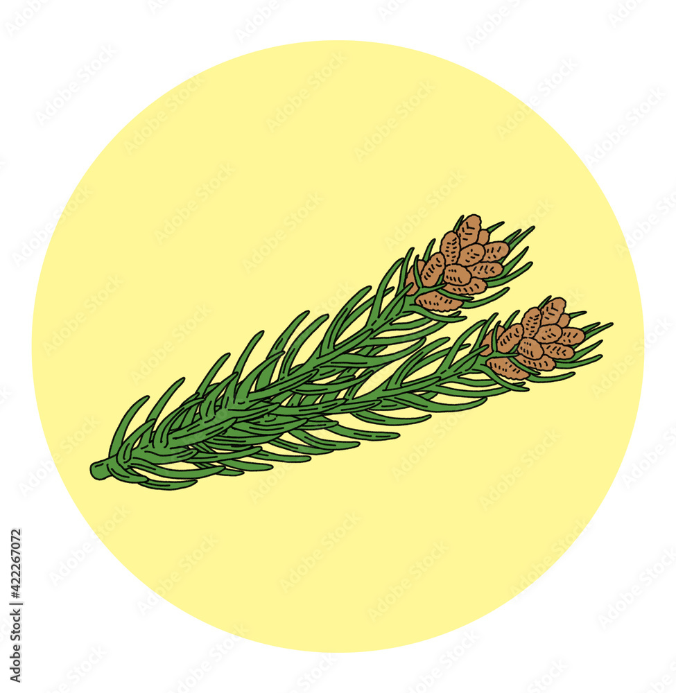 花粉 花粉症 スギ イラスト 単体 Allergen Canvas Print Allerg Akaomayo