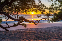 Beautiful Sunset Tropical Beach With Silhouette Of Trees For Travel And Vacation In Holiday Relax Time. Playa Flamingo In Guanacaste, Costa Rica. Central America..