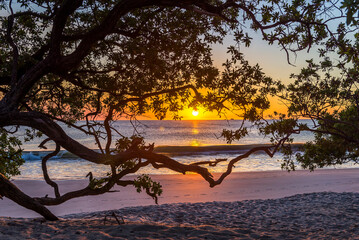 Wall Mural - Beautiful sunset tropical beach with silhouette of trees for travel and vacation in holiday relax time. Playa Flamingo in Guanacaste, Costa Rica. Central America.