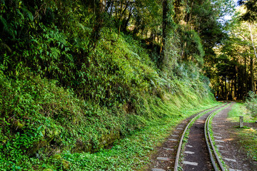 Wall Mural - The old forest railway section of Alishan Forest Recreation Area in Chiayi, Taiwan, but is now obsolete and unable to operate