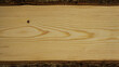 © Corri Seizinger - Wood timber structure background banner - Spruce / fir wooden board template, with tree edge and bark and space for text
