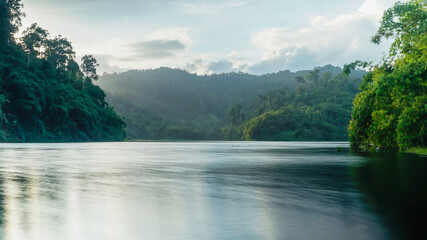 Wall Mural - Green texture background, green tone complete natural mountain water area Thailand.