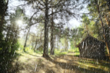 summer forest landscape rain drops, abstract background wet park, rain spray weather