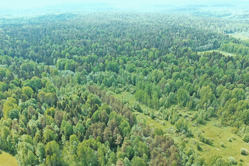 Wall Mural - forest top view, landscape panorama view of summer forest with quadrocopter aerial view