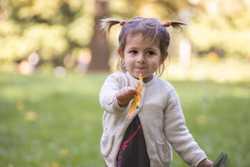 adorable toddler girl holds out an autumn yellow maple leaf into the camera..