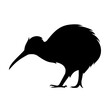 Vector black silhouette of a kiwi bird isolated on a white background.