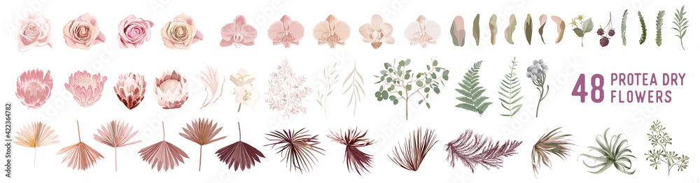Dried pampas grass, rose, protea, orchid flowers, tropical palm leaves vector bouquets - obrazy, fototapety, plakaty 