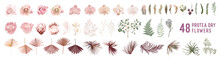 Dried Pampas Grass, Rose, Protea, Orchid Flowers, Tropical Palm Leaves Vector Bouquets