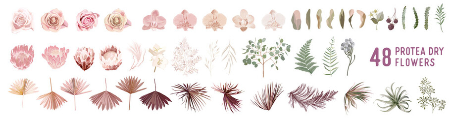 Wall Mural - Dried pampas grass, rose, protea, orchid flowers, tropical palm leaves vector bouquets
