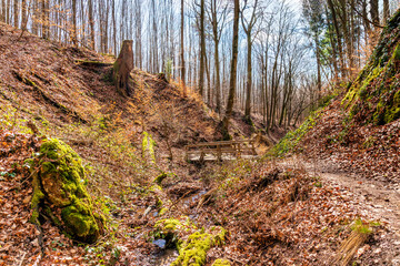 Canvas Print - Holzbrücke im oberen Tretschbachtal