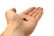 © Сергей Стельченко - Male hand holding drug or vitamin pill in