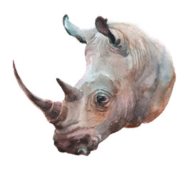 watercolor rhinoceros animal on a white background illustration