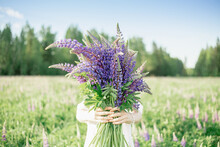 A Hippy Girl Holding Bouquet Of Wildflowers In Her Hands. Girl Hid Her Face Behind Bouquet Of Lupins. Girl Holds Large Bouquet Of Purple Lupins In A Flowering Field. Nature Concept. Present