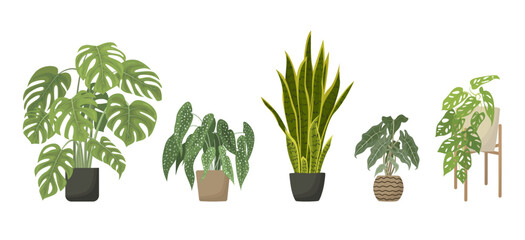 Decorative Green House plants set. Cute Indoor flower pot collection for home and office decoration. Tropical houseplants for interior. Flat Cartoon Vector illustration isolated on white background