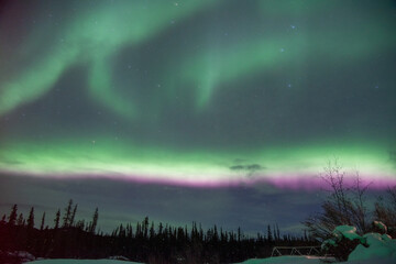 an amazing display of northern lights aurora borealis seen in north canada yukon territory with gree