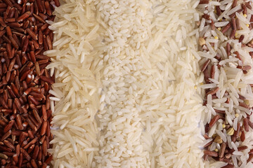 Varity mix long grain basmati medium grain jasmine short grain pilaf risotto brown low glycaemic index GI rice in rows top view