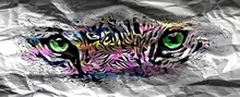 Animal Eyes Tiger Abstract Graffiti