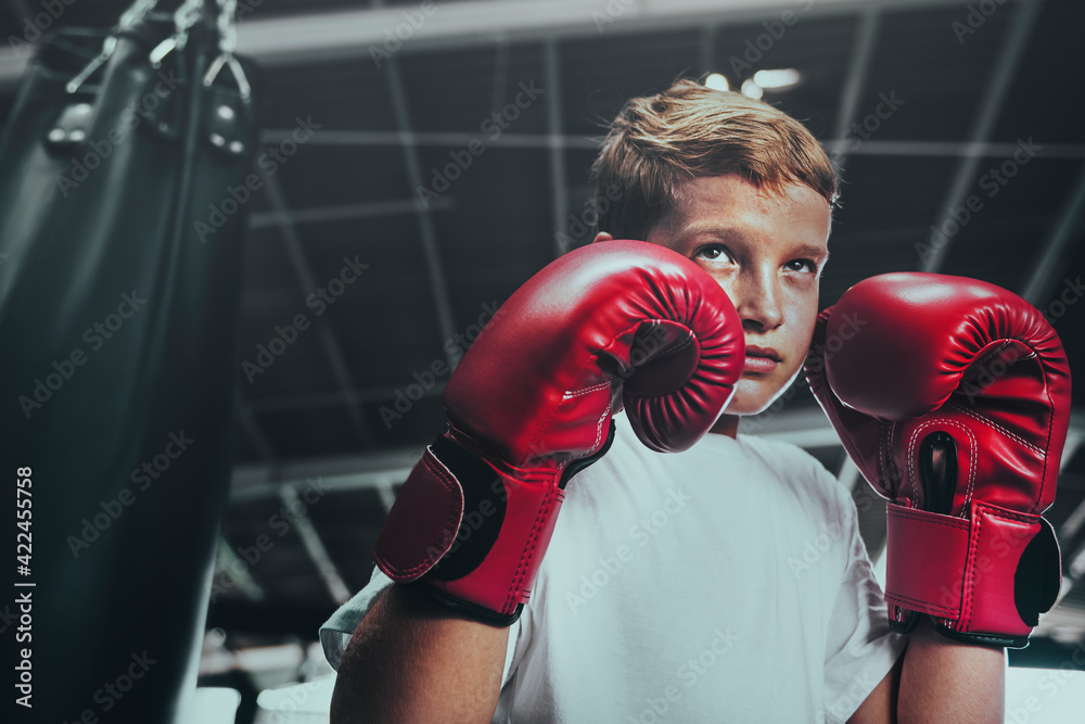 Young man getting ready for boxing - obrazy, fototapety, plakaty 