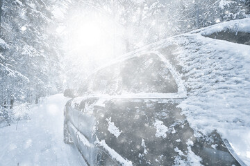 Wall Mural - car in winter forest, landscape travel in christmas snowy forest