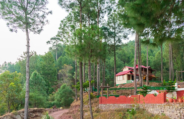 Wall Mural - a mountain valley, kasauli, tirthan valley, himachal pradesh, india