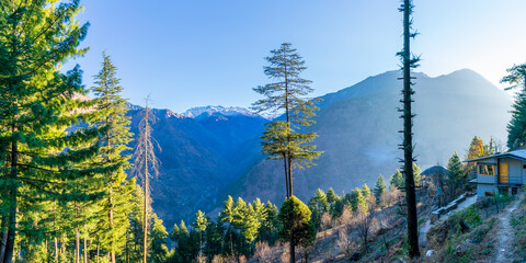 Wall Mural - a mountain valley, pekhri, tirthan valley, himachal pradesh, india