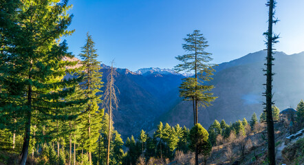 Wall Mural - a mountain valley, pekhri, tirthan valley, himachal pradesh, india