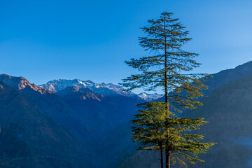 Wall Mural - a mountain valley, pekhri, tirthan valley, himachal pradesh, india