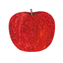 red apple hand drawn realistic drawing. Raster illustration of whole red apple in peel isolated on white