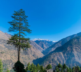 Wall Mural - a mountain valley, pekhri, tirthan valley, himachal pradesh, india
