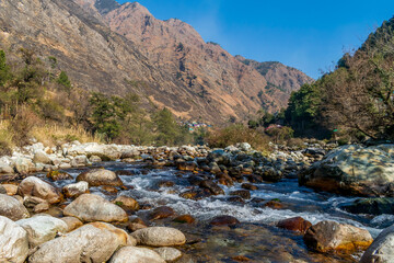 Wall Mural - a mountain stream, pekhri, tirthan valley, himachal pradesh, india
