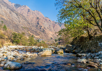 Wall Mural - a mountain stream, pekhri, tirthan valley, himachal pradesh, india