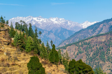 Wall Mural - a mountain valley, pekhri, tirthan valley, himachal pradesh, india