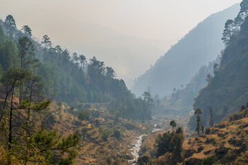 Wall Mural - a mountain stream, pekhri, tirthan valley, himachal pradesh, india