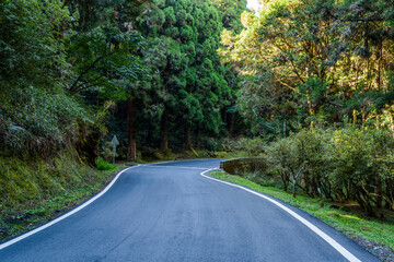 Wall Mural - The asphalt road through in forest, Alishan Forest Recreation Area in Chiayi, Taiwan.