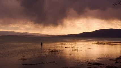 Wall Mural - Fisherman standing in Utah Lake during colorful sunset during storm raining in the distance.